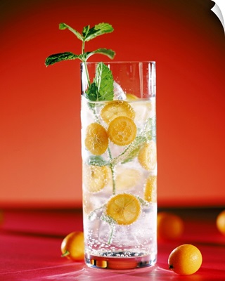 Cocktail with lemon slices and mint leaf, close-up