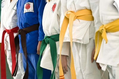 Colorful belts on martial arts students