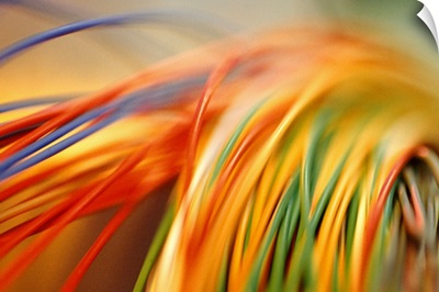 Coloured electrical cables