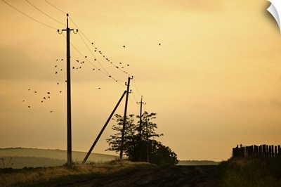 Countryside road with birds over electricity poles, at sunset, Moldova.