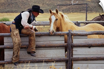 Cowboy And Horses