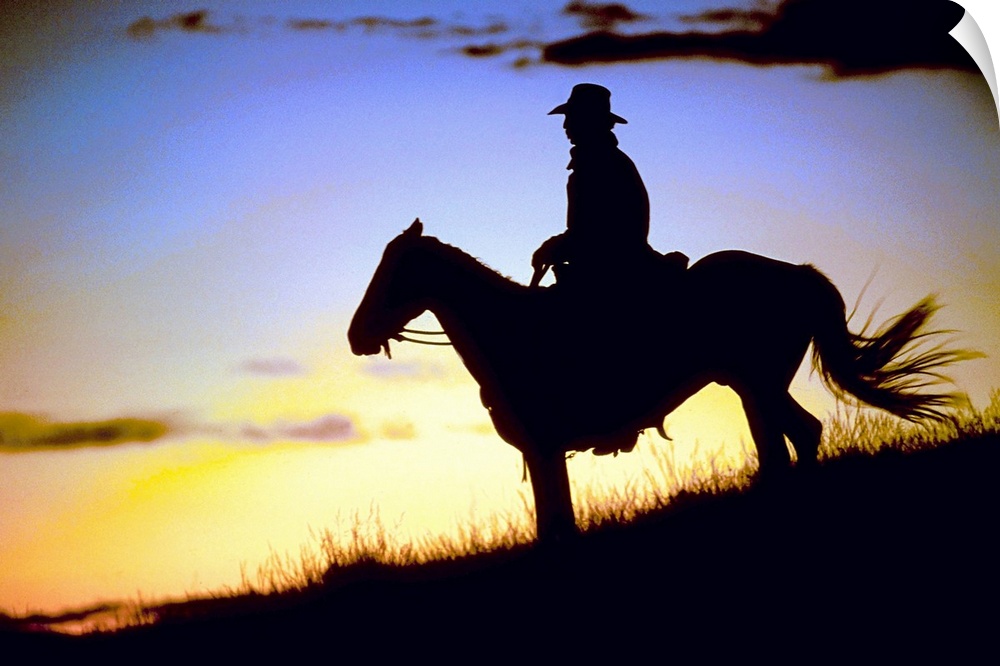 A lone figure and his steed on a hillside was the light fades around them in this landscape photograph.