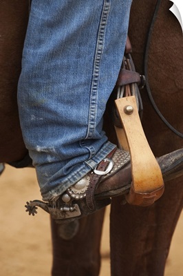 Cowboy boot in horse stirrup with spurs