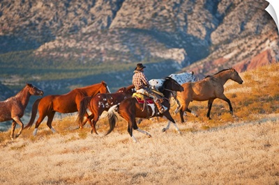 Cowboy Herding Wild Horses