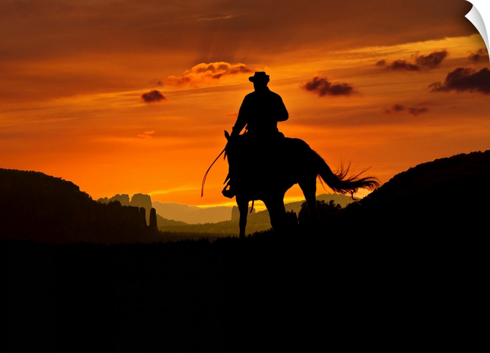 Cowboy is riding through a valley in the night. Composition of two images.