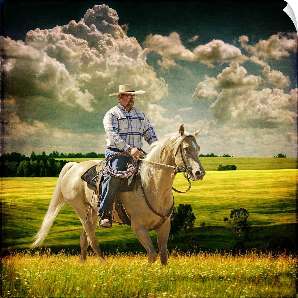 Textured image of Cowboy training a Tennessee Walking horse out in a meadow under a big blue sky.