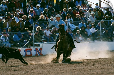 Cowboy Roping Calf At Rodeo