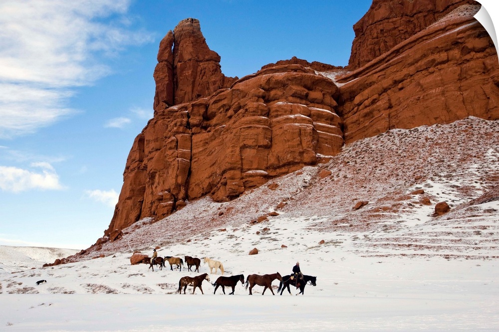 Cowboys from Hide Out Ranch herd American quarter horses in the Big Horn Mountains of Wyoming in Winter.