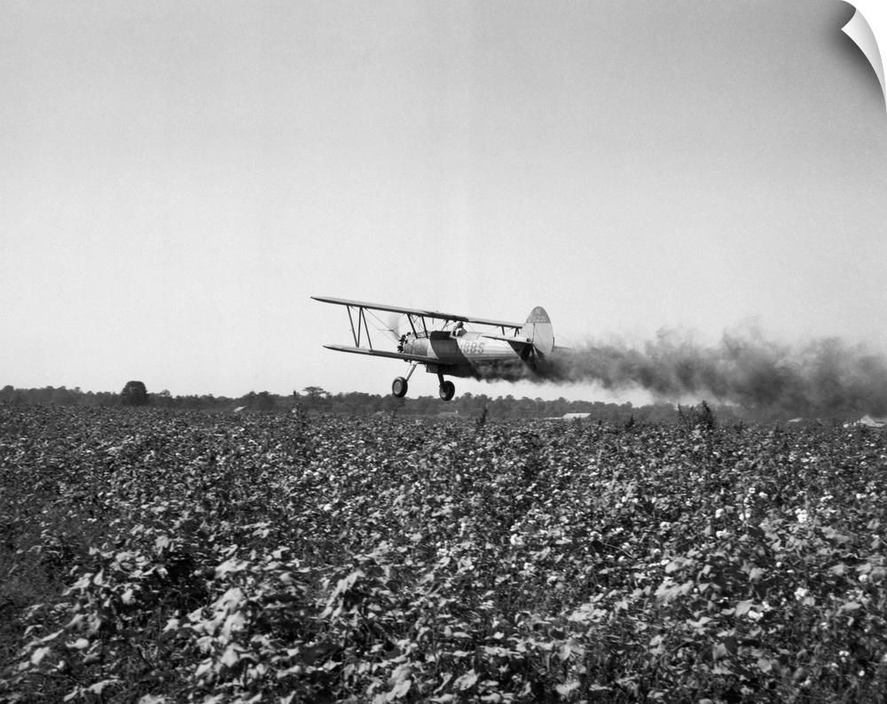 Crop-dusting plane flies low over field. Undated photograph. BPA2