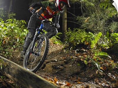 Cyclist mountain biking through forest trial