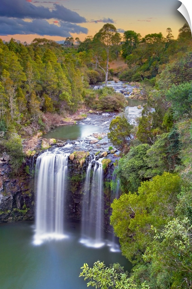 Dangar Falls at Sunset, Dorrigo, NSW, Australia.