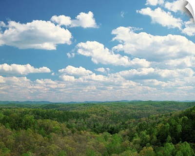 Daniel Boone National Forest, Cumberland State Park, Kentucky