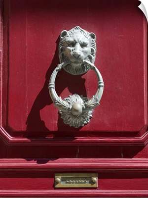 Decorative door knocker