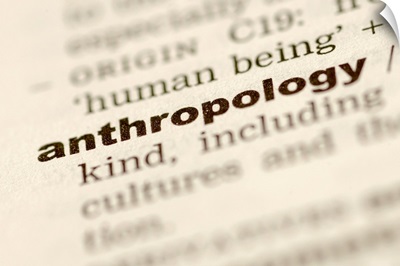 Definition of anthropology