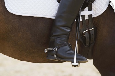 Detail of female dressage rider on horse