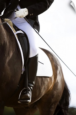 Detail of female dressage rider on horse