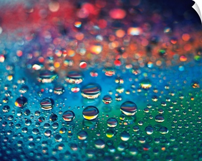Dew on the Rainbow Color, Close Up, Differential Focus, In Focus, Out Focus