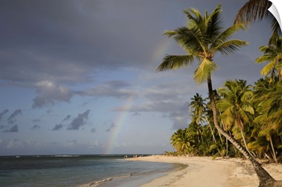 Dominican Republic, Puerto Plata, rainbow over palm trees on beach