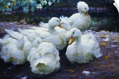 Ducks on the Bank of a River by Alexander Max Koester