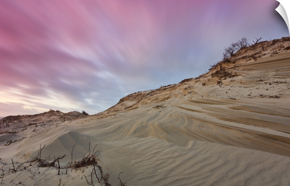 Dune landscape after sunset in West Dune Park, The Hague, Netherlands.