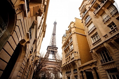Eiffel Tower and buildings.