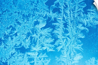 Elegant pattern of frost on window