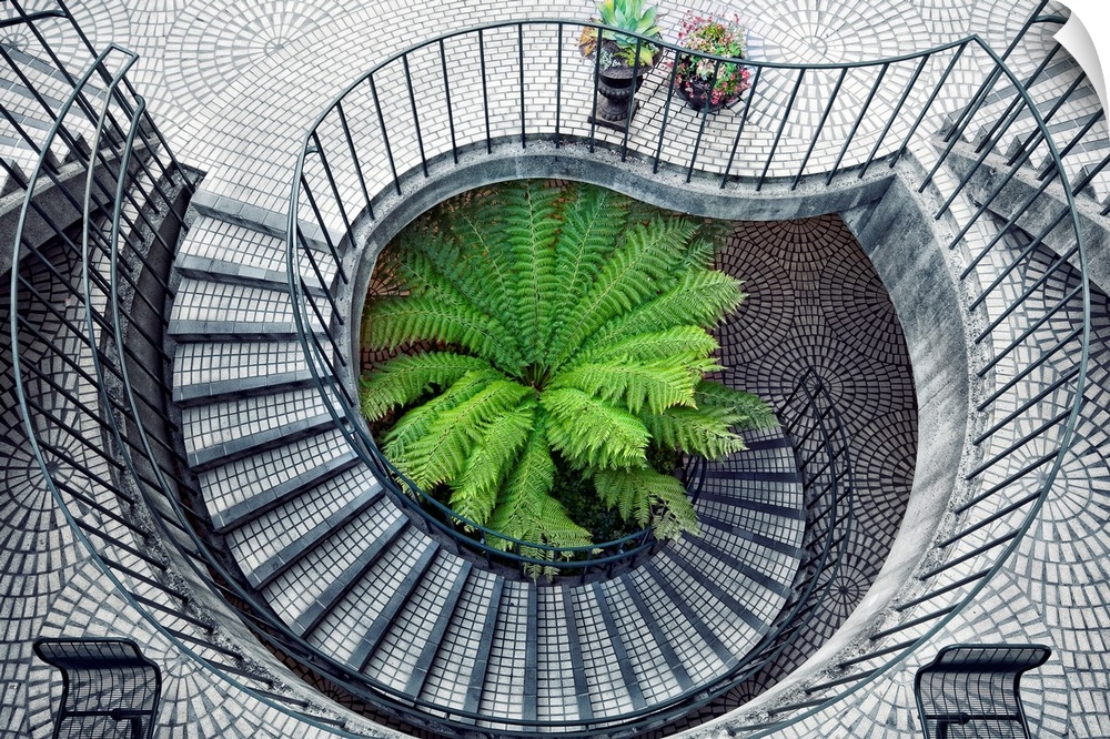 Spiral stairs surround green fern.