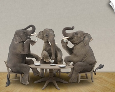 Elephants having tea party