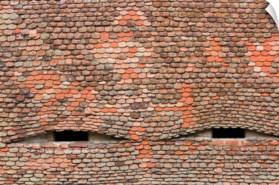 Eyelike dormer windows in a tiled roof