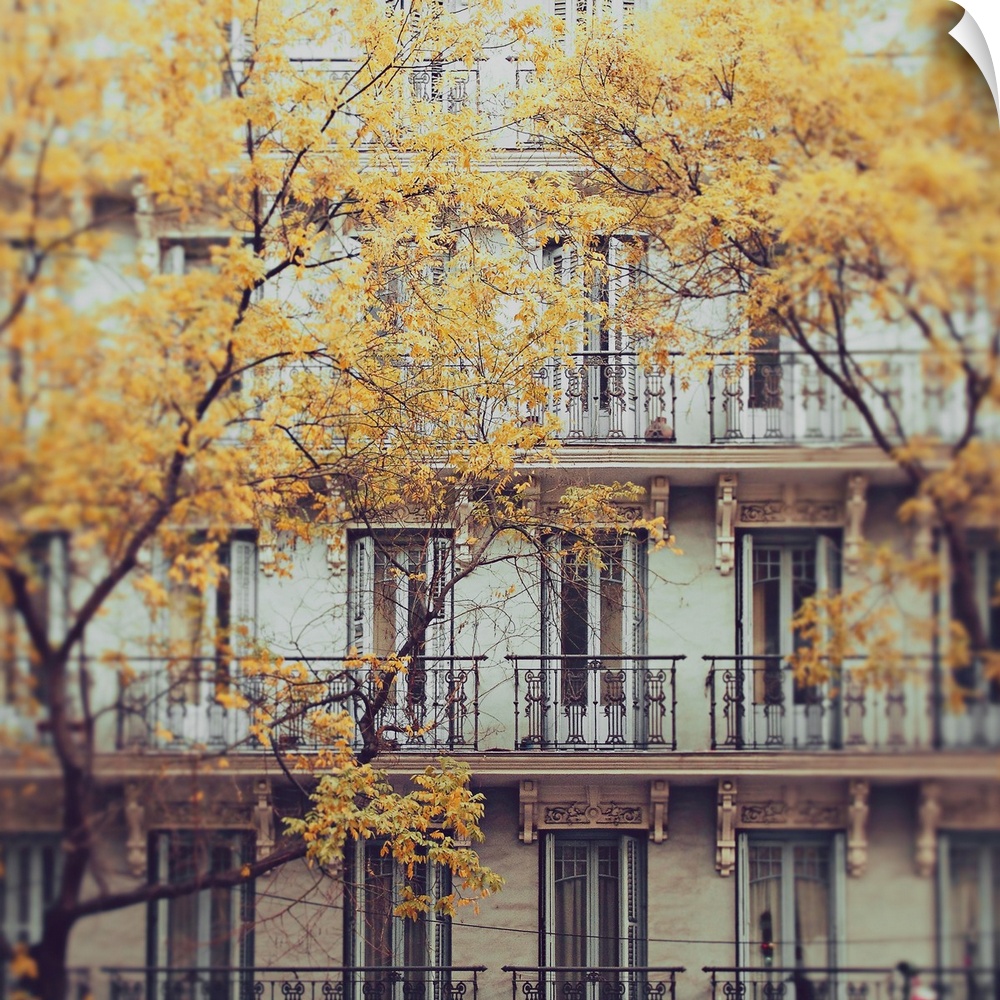 Facade of a c. 19th Century tenement house in central Madrid, in foreground trees with withered leaves in autumn.