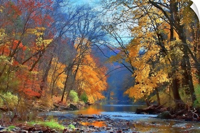 Fall colors in early November along Wissahickon Creek in Fairmount Park.