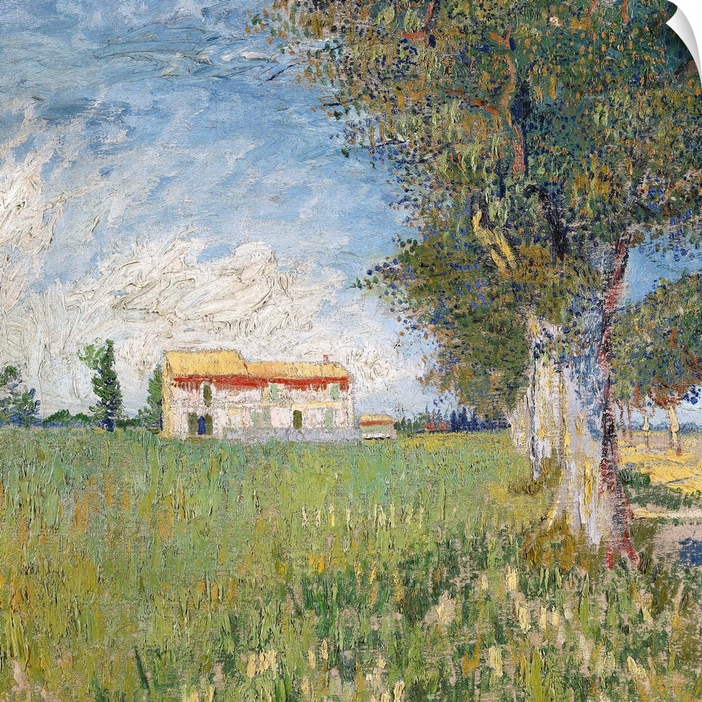 1888. Oil on canvas, 45 x 50 cm (17.7 x 19.7 in). Van Gogh Museum, Amsterdam, Netherlands.