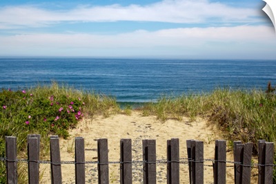 Fence And Sand Dunes On Coast