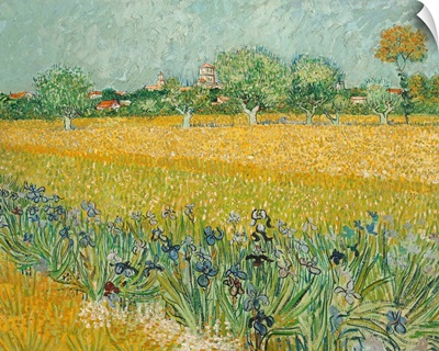 Field With Irises Near Arles By Vincent Van Gogh