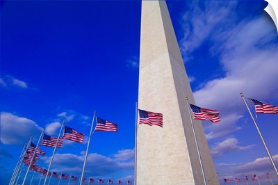 Flags Surrounding The Washington Monument