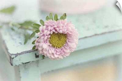 Flower on wooden vintage chair.