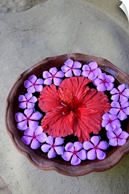 Flowers Floating In Bowl Of Water