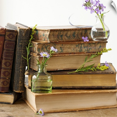 Flowers on old books