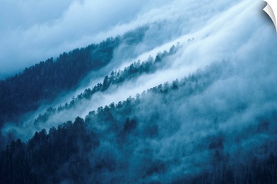 Fog In The Smokey Mountains