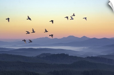 Foggy Morning In The Mountains With Flying Birds
