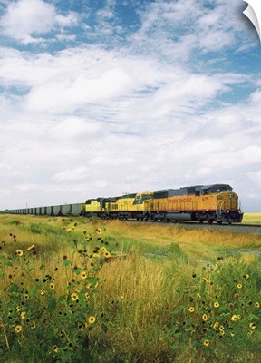 Freight train passing through a field, North Dakota, USA