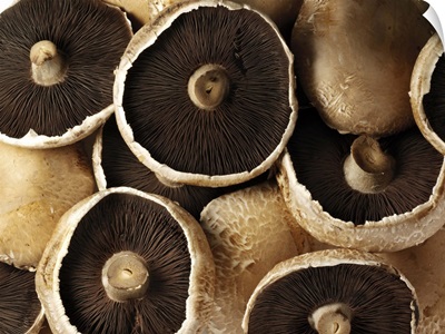 Fresh Portobello Mushrooms