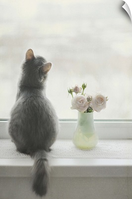 Furry cat with flower vase at window sill waiting