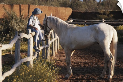 Girl sitting on fence, patting horse