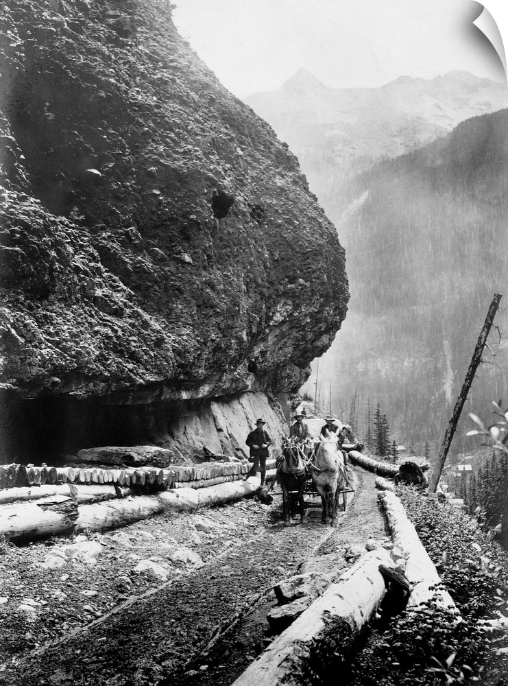 Gold miners drive a wagon down a primitive road in the vicinity of Thomas F. Walsh's gold mines, Ouray, Colorado.