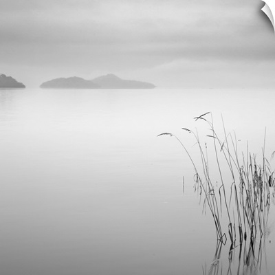 Grass and the morning mist over a pre-dawn Loch Lomond, Scotland.