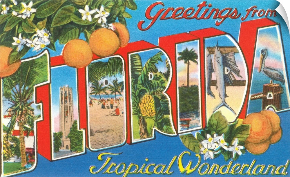 Greetings from Florida, Tropical Wonderland, large letter vintage postcard