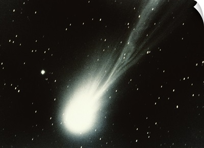 Halleys Comet