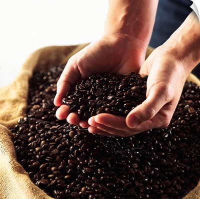Hands cupping coffee beans