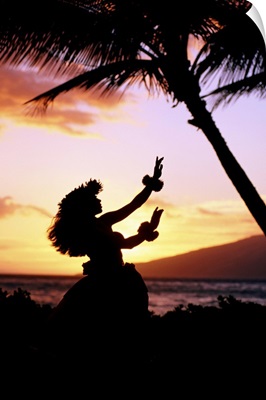 Hawaiian Islands hula dancer